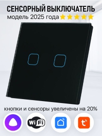 Умный сенсорный выключатель с WiFi двухклавишный, работает с Алисой. Цвет черный