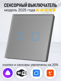 Умный сенсорный выключатель с WiFi двухклавишный работает с Алисой. Цвет серый