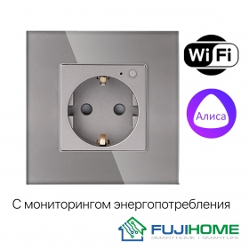 Умная розетка встраиваемая с WiFi, модель FUJIHOME TW-WF1F-GY(CS), работает с Алисой, Smartlife, с мониторингом энергопотребления, таймером, цвет серый