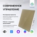 Умный сенсорный выключатель с WiFi FUJIHOME FHZ-005G1GLD работает с Алисой