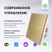 Умный сенсорный выключатель с WiFi FUJIHOME FHZ-005G2GLD работает с Алисой